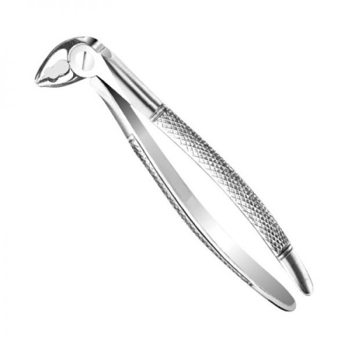 DENTAL EXTRACTING FORCEPS PREMOLAR ENGLISH FORCEPS