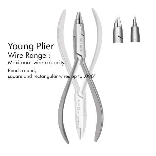 Dental young Plier