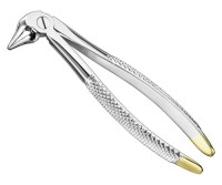 DENTAL EXTRACTING FORCEPS PREMOLAR ENGLISH FORCEPS